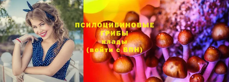 закладка  Бахчисарай  Псилоцибиновые грибы Cubensis 